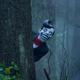 Image for article titled An okay X-Files is elevated by a nifty monster